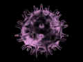 virus